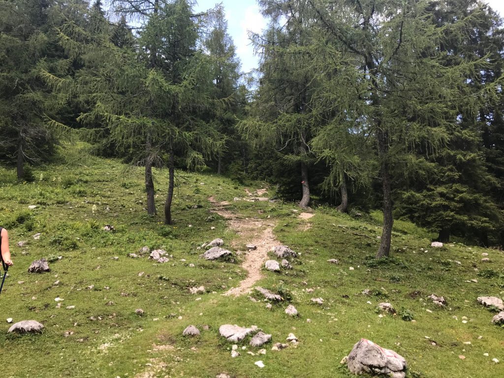 Dümlerhütte wandern