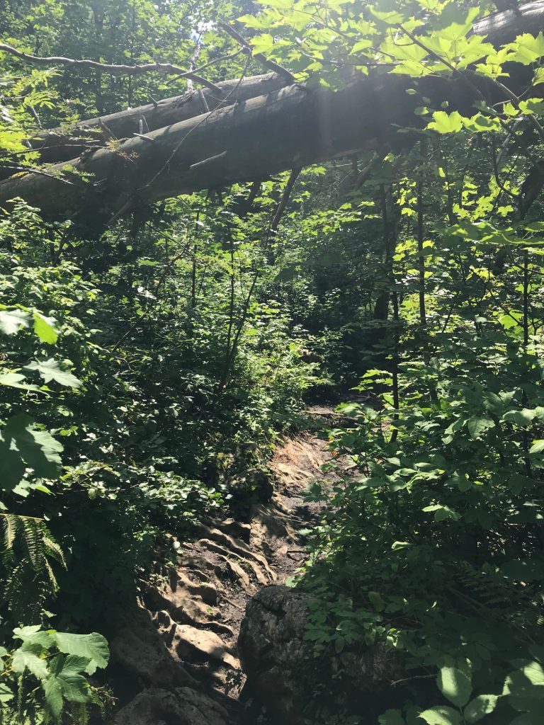 Dümlerhütte wandern