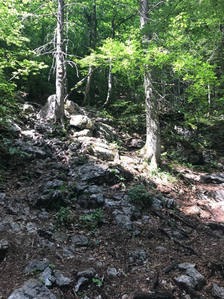 Dümlerhütte wandern