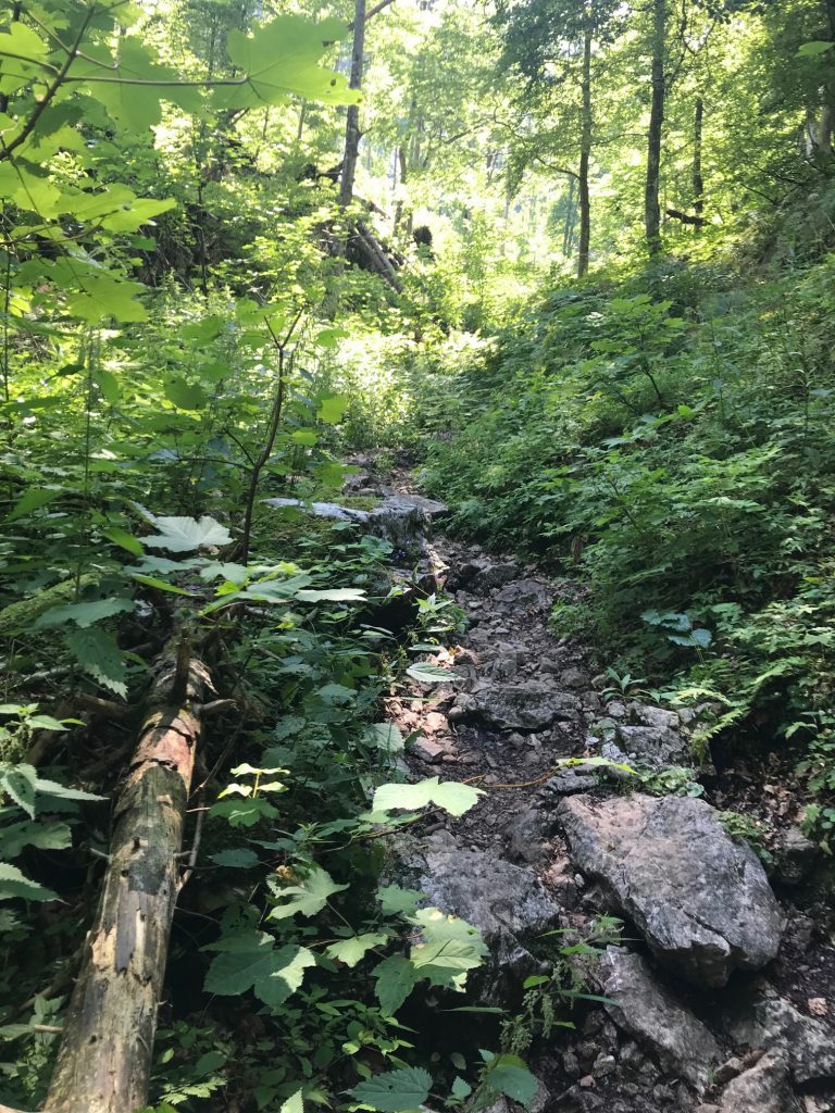 Dümlerhütte wandern