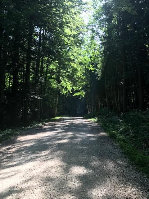 Laudachsee Wanderung