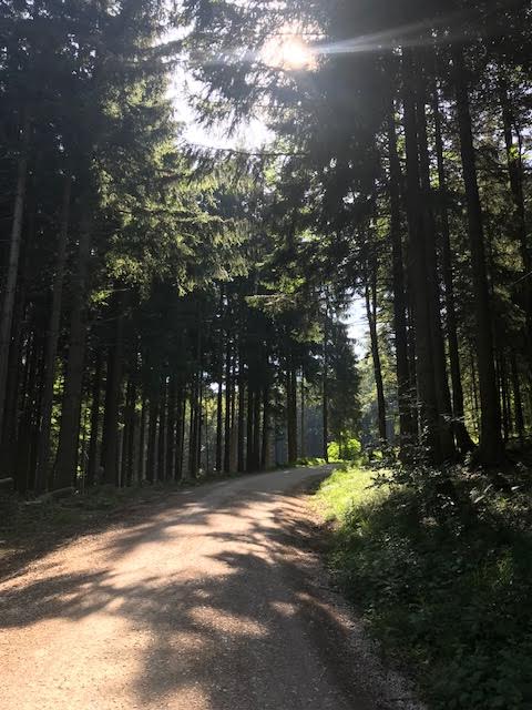 Laudachsee Wanderung