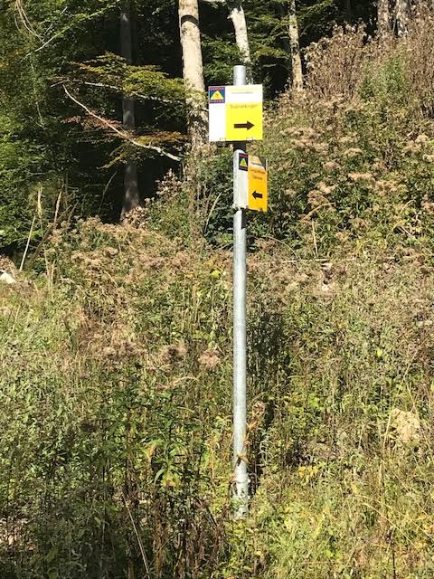 Vorderer Signalkogel